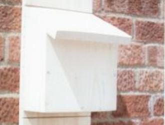 Bat box £10