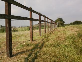 Photo0083