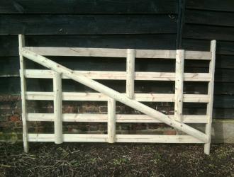 Photo0199