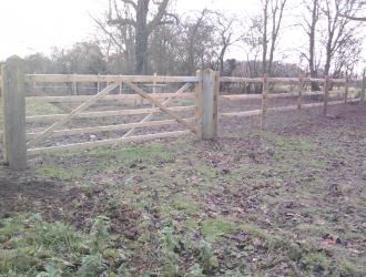 Photo0287