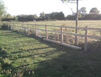 Photo0368